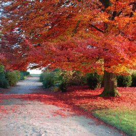 7 fun facts about Autumn