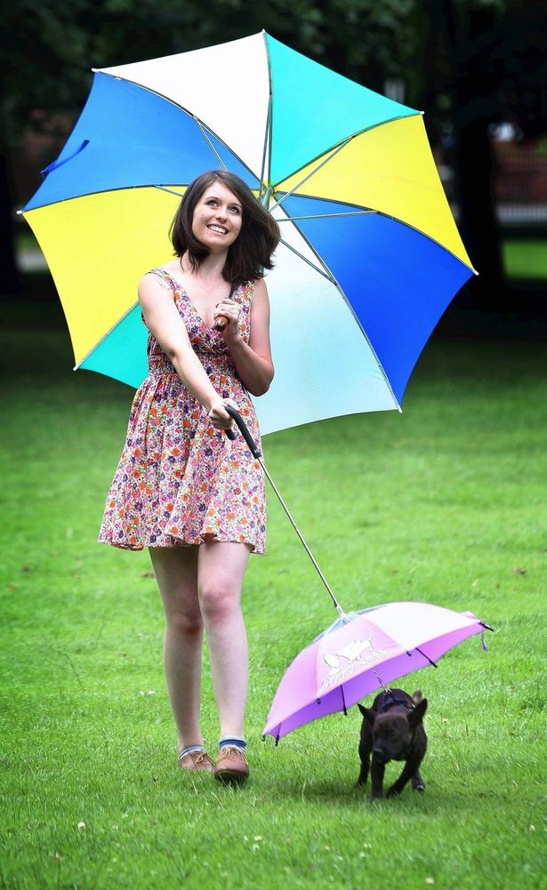 Любимый зонтик. Зонт для собак. Собака под зонтиком. Необычные зонты для собак. Собачий зонтик.