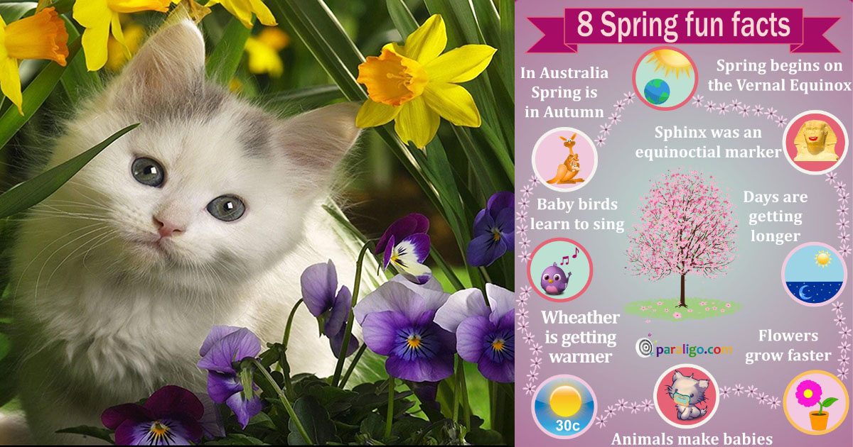 8 facts about Spring